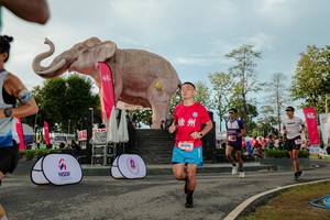 BIB: 
                            <button type="button" onclick="openModal(26529187)" class="btn btn-primary btn-sm float-right btn-popup" data-toggle="modal" data-target=".modal-high-quality">
                        <i class="fas fa-shopping-cart"></i> Add to Cart
                    </button>
                                            <button type="button" onclick="isThisMe(26529187, true)" class="btn btn-success btn-sm float-right btn-popup btn-isme hidden" data-toggle="tooltip" data-placement="bottom" title="นี่คือรูปของคุณใช่ไหม คลิกที่นี่เพื่อเอาเข้าอัลบั้ม">
                        <i class="fas fa-plus"></i> Add to album
                    </button>
                    <button type="button" onclick="isThisMe(26529187, false)" class="btn btn-warning btn-sm float-right btn-popup btn-isnotme hidden">
                        <i class="fas fa-ban"></i> Remove from album
                    </button>